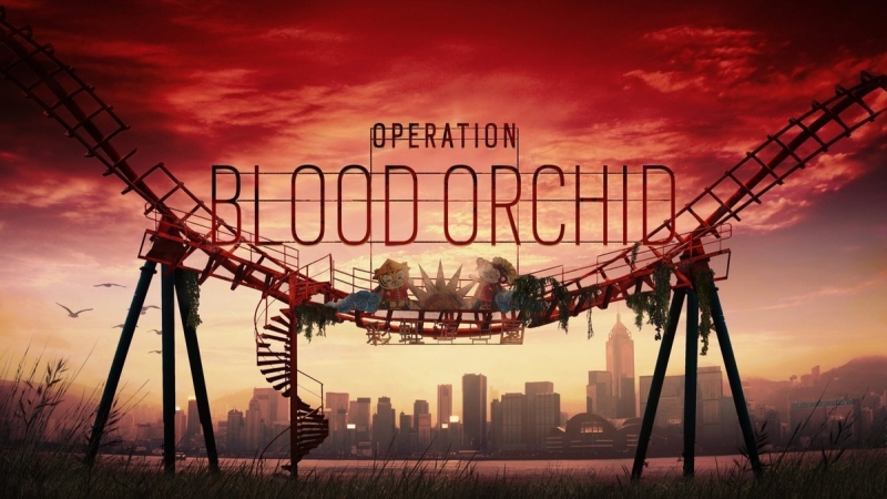 blood orchid